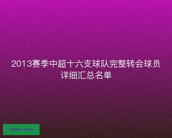 2013赛季中超十六支球队完整转会球员详细汇总名单